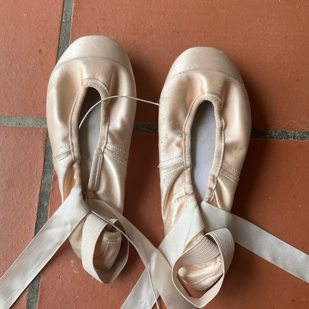 Gaynor Minden pointe shoes